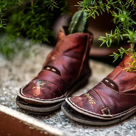 Le Cisterne Bed & Breakfast