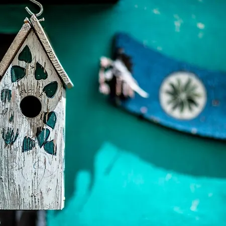 Bed & Breakfast Le Cisterne Amelia