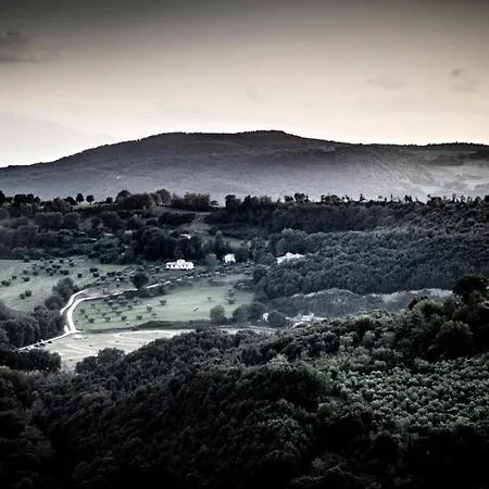 Le Cisterne Bed & Breakfast Amelia