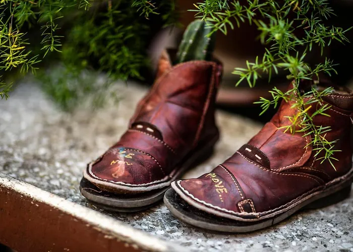 Le Cisterne Bed and breakfast